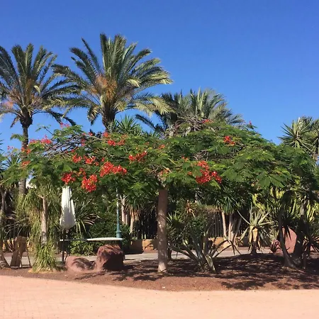 Canary Islands Getaway Caleta De Fuste Exterior photo